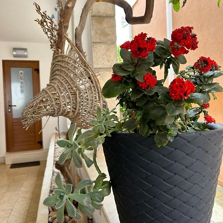 Bolero Guest House 로비스테 외부 사진